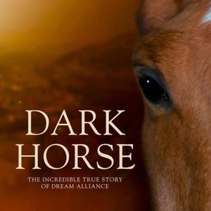 Dark Horse (2015) photo 20