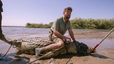 Man vs Monsters: Season 1 | Rotten Tomatoes