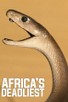 Poster for 