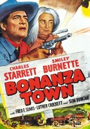 Bonanza Town poster image