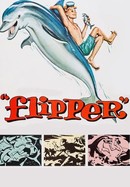 Flipper poster image