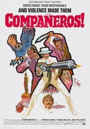 Companeros poster image