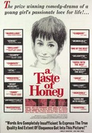 A Taste of Honey poster image