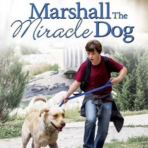 Marshall the Miracle Dog photo 1
