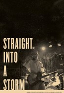 Straight Into a Storm: A New Rock Film About Deer Tick poster image