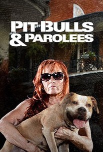 Pit Bulls and Parolees: Season 7, Episode 8 - Rotten Tomatoes