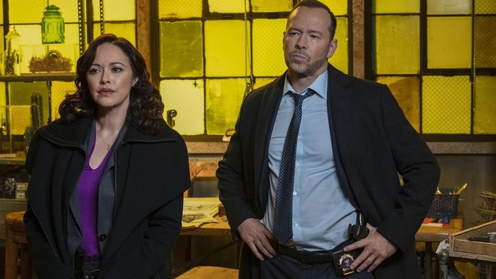 Blue Bloods: Season 12, Episode 17 | Rotten Tomatoes