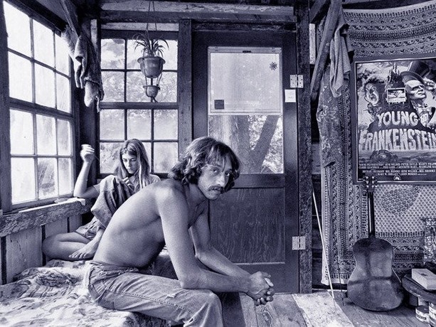 Taylor Camp | Rotten Tomatoes