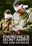 Churchill's Secret Agents: The New Recruits poster image