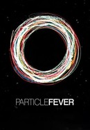 Particle Fever poster image