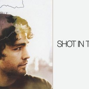 Shot in the Dark photo 4