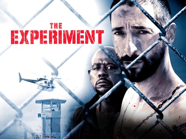 The Experiment (2010) | Rotten Tomatoes