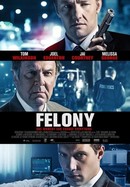 Felony poster image