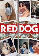 Red Dog poster image