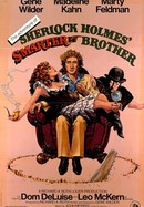 The Adventure of Sherlock Holmes' Smarter Brother poster image