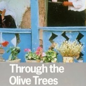 "Through the Olive Trees photo 1"