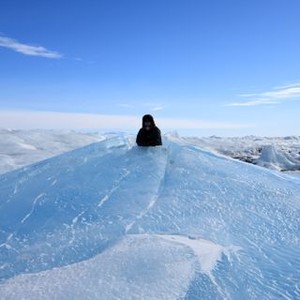 Antarctica: A Year on Ice photo 11