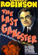 The Last Gangster poster image