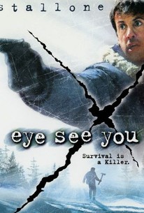 Eye See You | Rotten Tomatoes