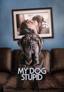 My Dog Stupid poster image
