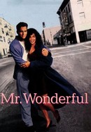 Mr. Wonderful poster image