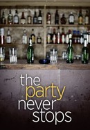 The Party Never Stops poster image