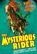 Mysterious Rider poster image