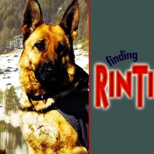 Finding Rin Tin Tin - Rotten Tomatoes