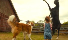 A Dog's Journey: Official Clip - Dog vs. Horse photo 7