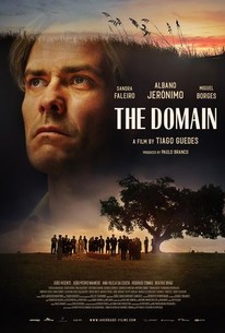 The Domain poster