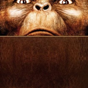 Battle for the Planet of the Apes photo 15