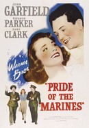 Pride of the Marines poster image