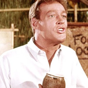 Russell Johnson as Roy "The Professor" Hinkley