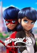 Miraculous: Tales of Ladybug and Cat Noir poster image