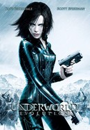 Resident Evil: Welcome to Raccoon City - Rotten Tomatoes