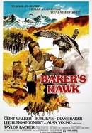 Baker's Hawk poster image