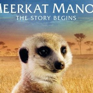 "Meerkat Manor: The Story Begins photo 12"