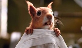 Dolittle: Official Clip - Squirrel Surgery