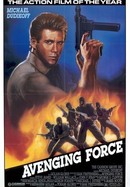 Avenging Force poster image