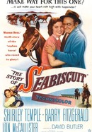 The Story of Seabiscuit poster image