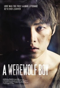 Poster for A Werewolf Boy