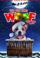 Up on the Wooftop poster image