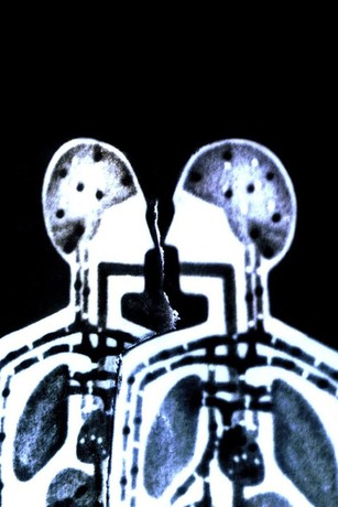 Bodysong (2003) | Rotten Tomatoes Bodysong (2003) | Rotten Tomatoes
