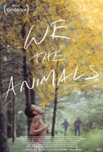 Watch trailer for We the Animals