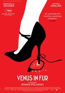 Venus in Fur poster image