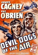 Devil Dogs of the Air poster image