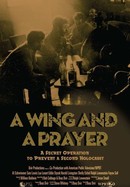 A Wing and a Prayer poster image