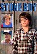 The Stone Boy poster image