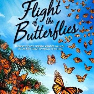 Flight of the Butterflies photo 12