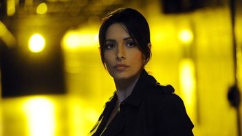 Person of Interest: Season 4, Episode 11 | Rotten Tomatoes